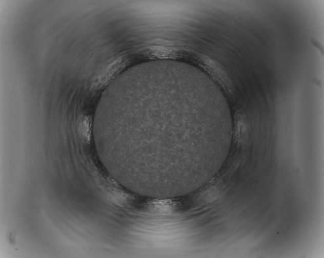 X0000102240121200808081445