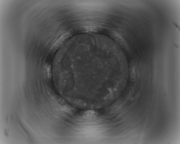 X0000102240123200808081445