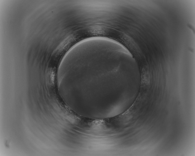 X0000102240124200808081445