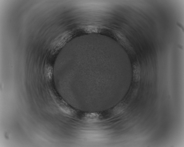 X0000102240125200808081445