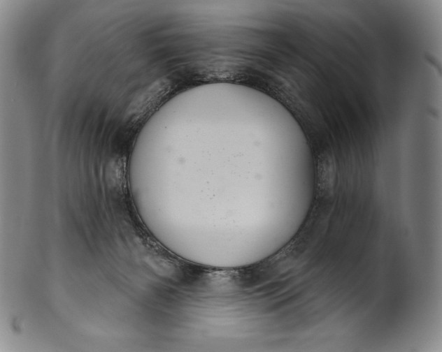 X0000102240126200808081445