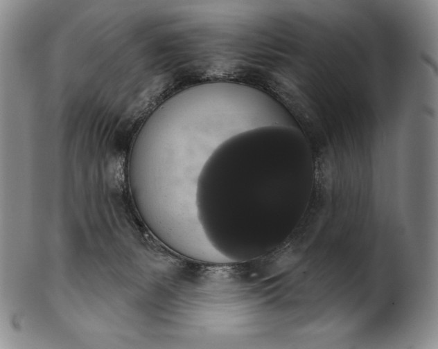 X0000102240127200808081445