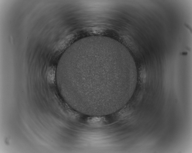 X0000102240129200808081445