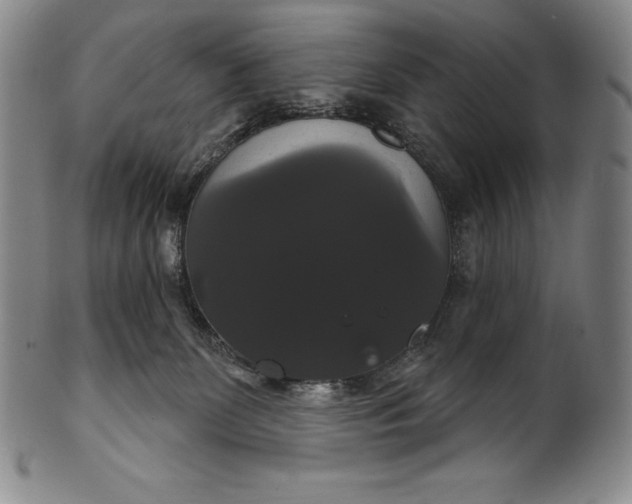 X0000102240131200808081445