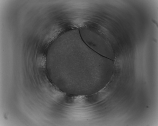 X0000102240132200808081445