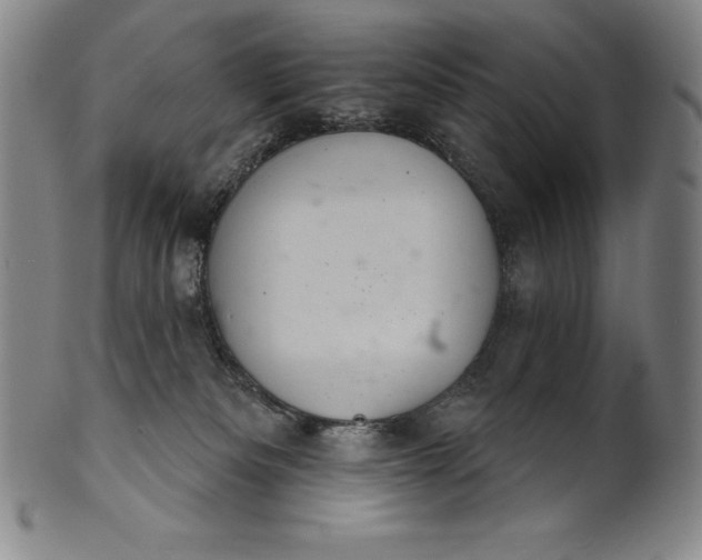 X0000102240133200808081445