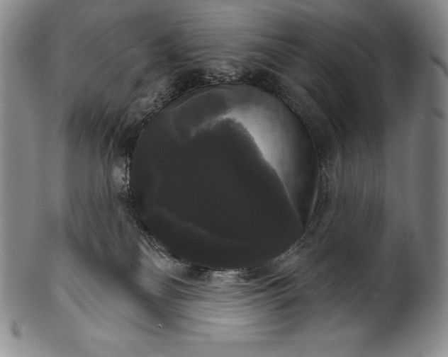 X0000102240134200808081445