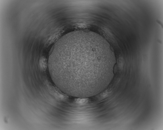 X0000102240135200808081445