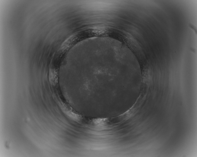 X0000102240136200808081445