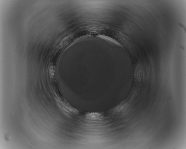 X0000102240137200808081445