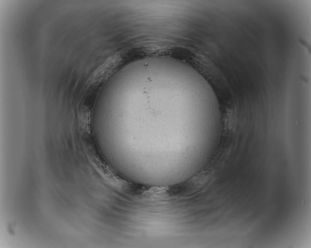 X0000102240138200808081445