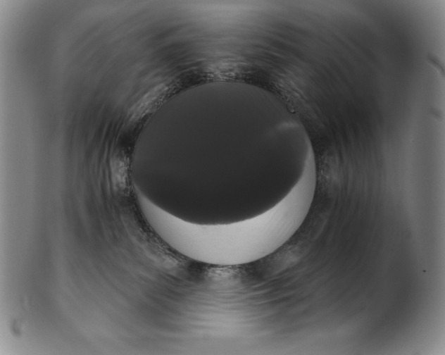 X0000102240139200808081445