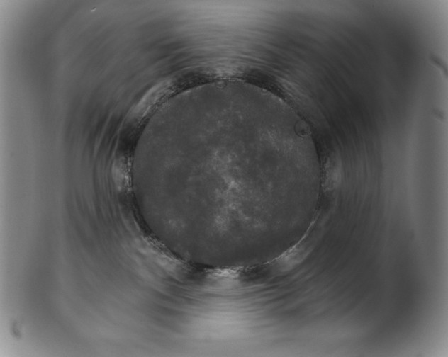 X0000102240140200808081445