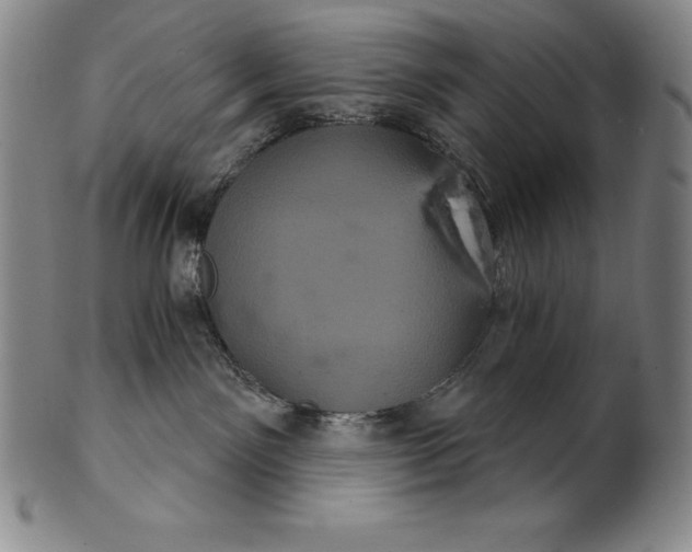 X0000102240141200808081445