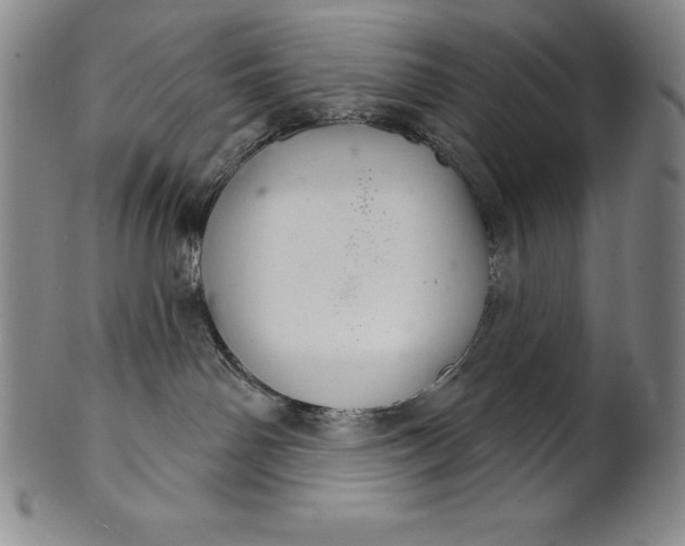 X0000102240142200808081445