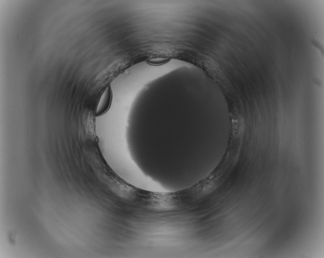 X0000102240143200808081445