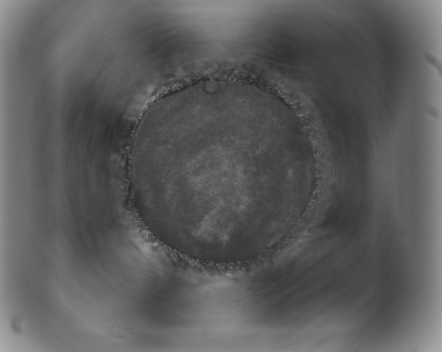 X0000102240144200808081445