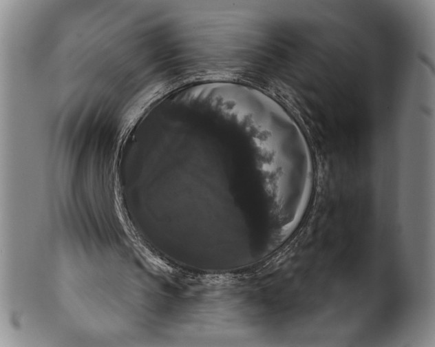 X0000102240145200808081444