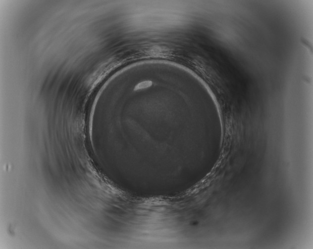 X0000102240146200808081444