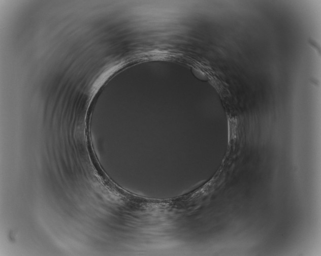 X0000102240147200808081444