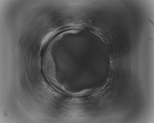 X0000102240149200808081444