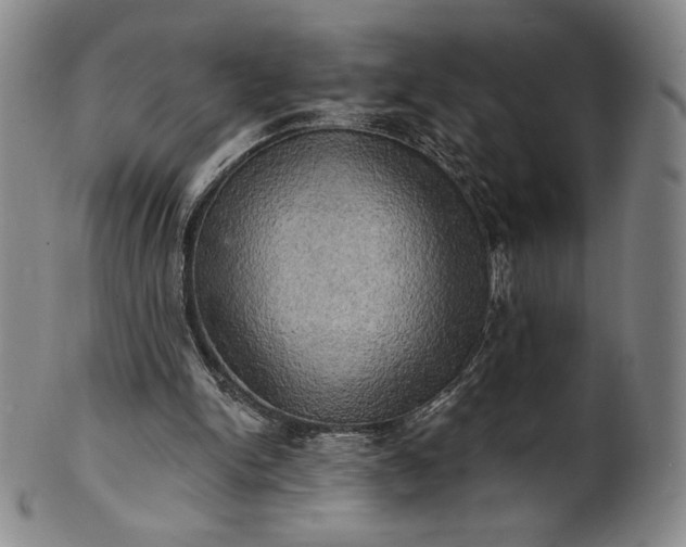 X0000102240150200808081444