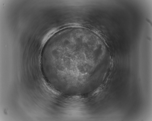 X0000102240151200808081444