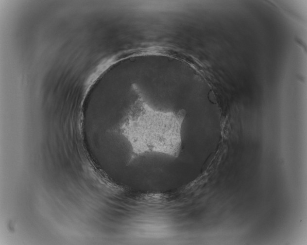 X0000102240152200808081444