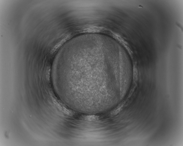 X0000102240153200808081444