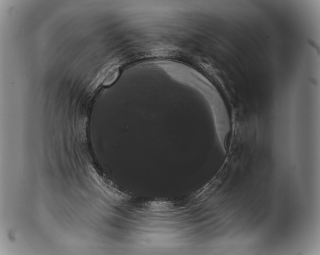 X0000102240154200808081444