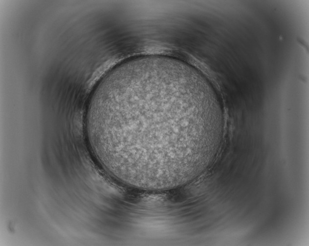 X0000102240155200808081444