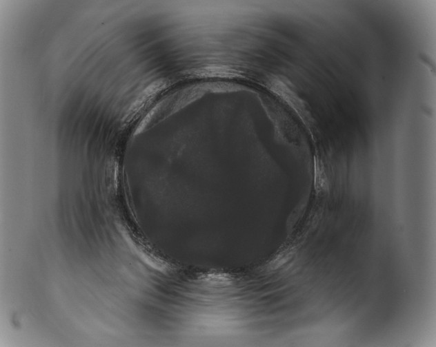 X0000102240157200808081444