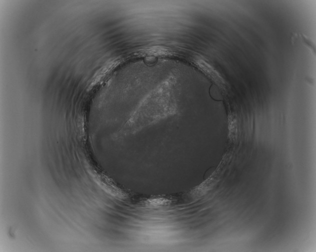 X0000102240158200808081444