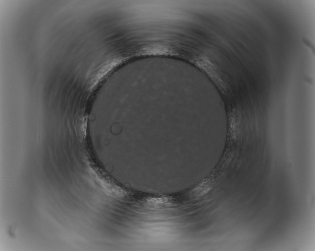 X0000102240160200808081444