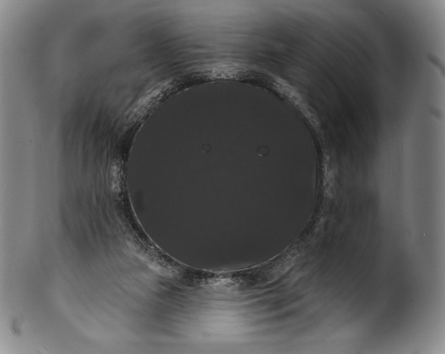 X0000102240161200808081444