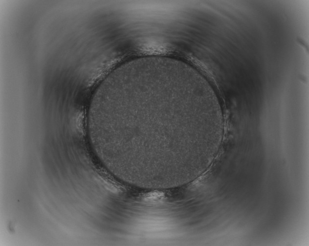 X0000102240162200808081444