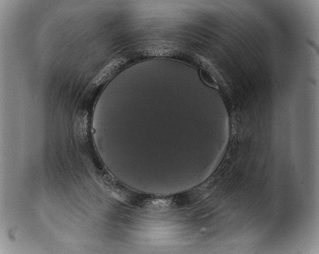 X0000102240163200808081444