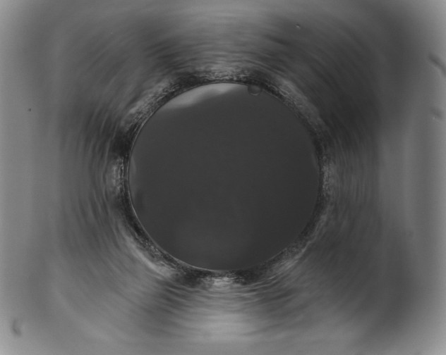 X0000102240165200808081444