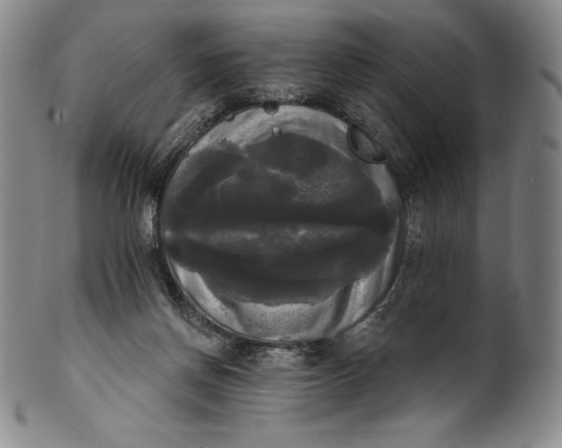 X0000102240166200808081444