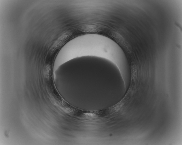 X0000102240167200808081444