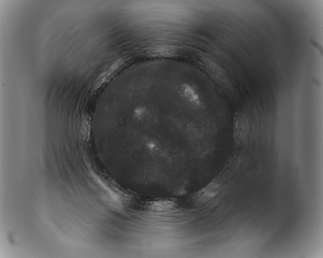 X0000102240168200808081444