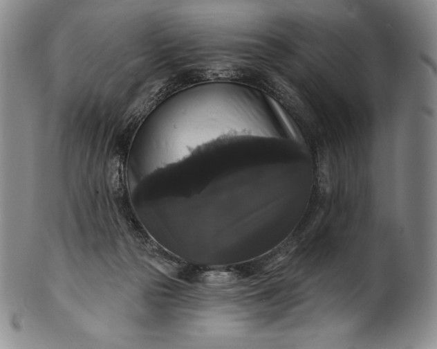 X0000102240169200808081444