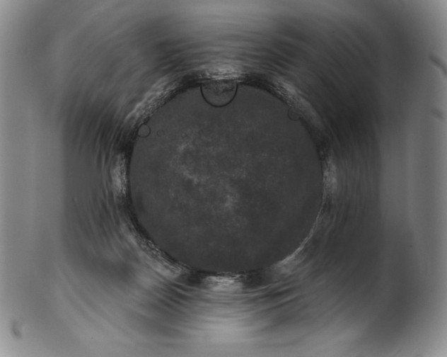 X0000102240170200808081444