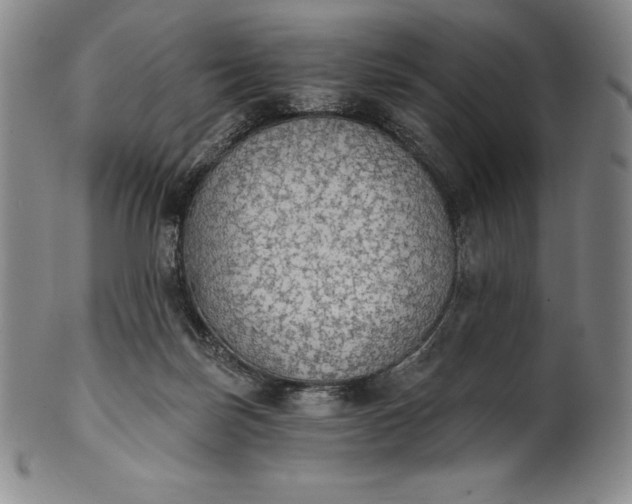 X0000102240171200808081444