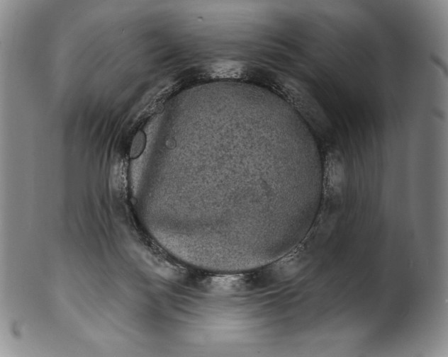 X0000102240172200808081444