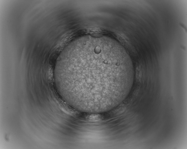 X0000102240173200808081444