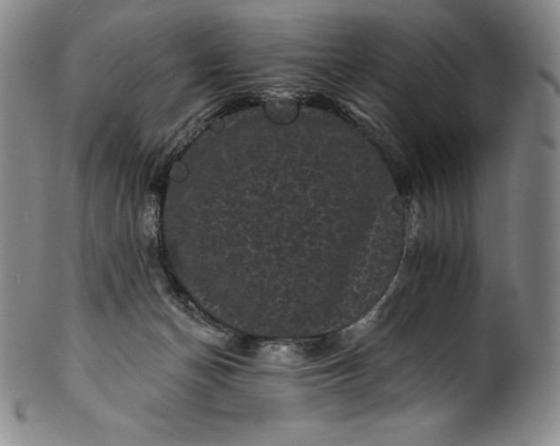 X0000102240174200808081444