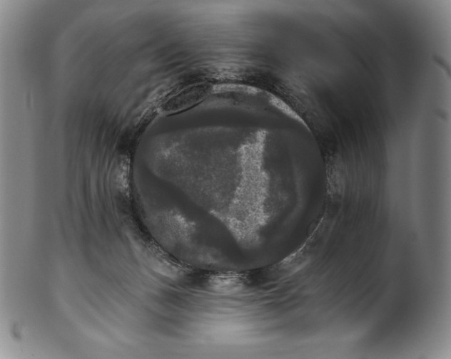 X0000102240175200808081444