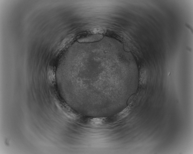 X0000102240176200808081444