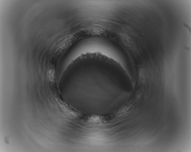 X0000102240177200808081445